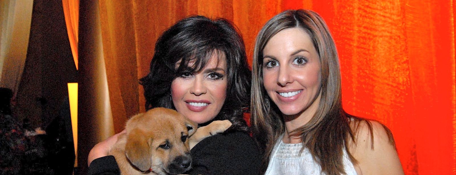 PAWS for a cause…..