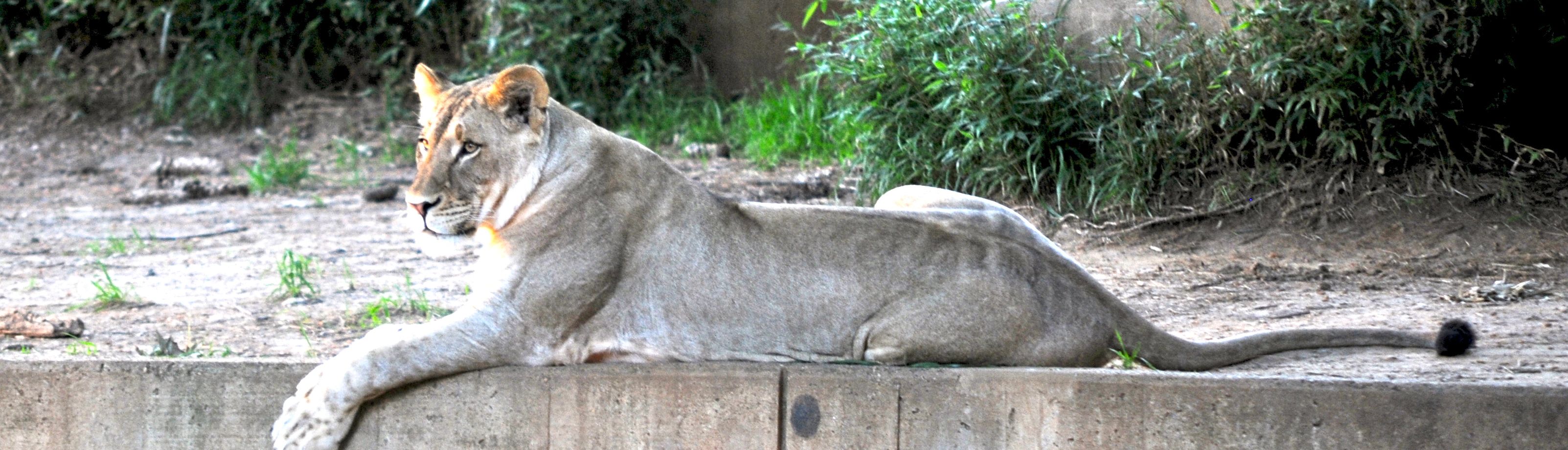 What’s for dinner?