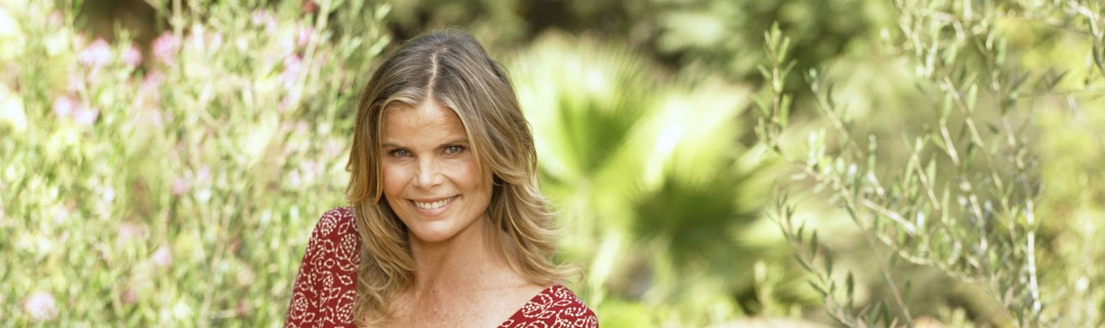 Slice & Dice with Hemingway