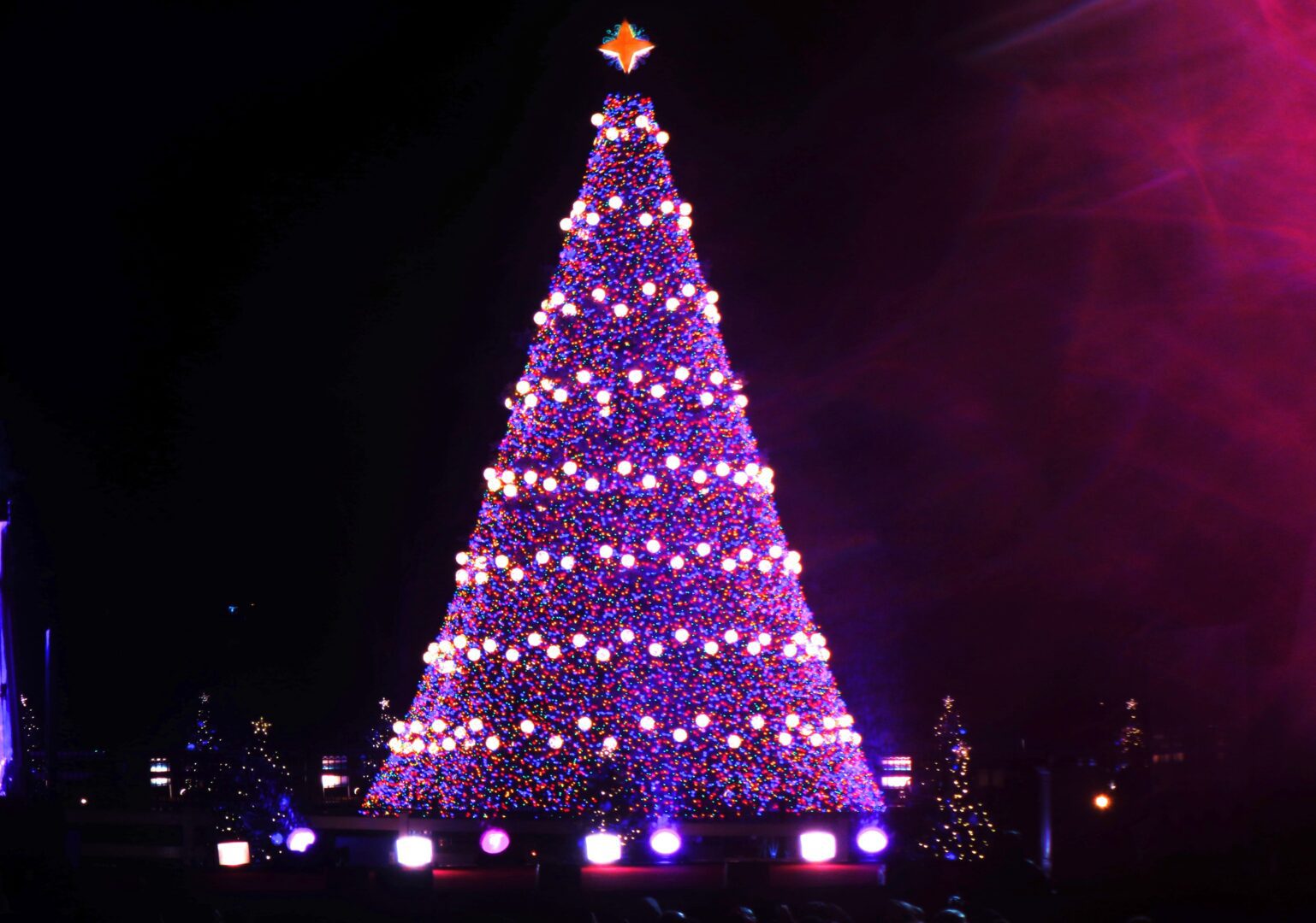 Oh Christmas Tree…… Hollywood On The Potomac