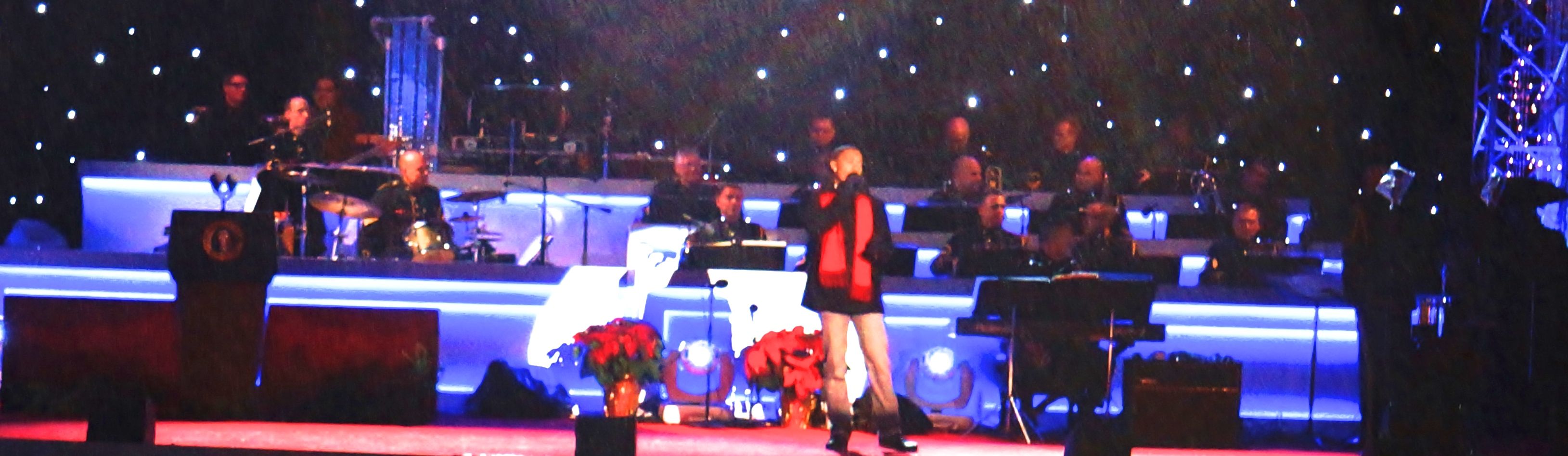 Oh Christmas Tree……