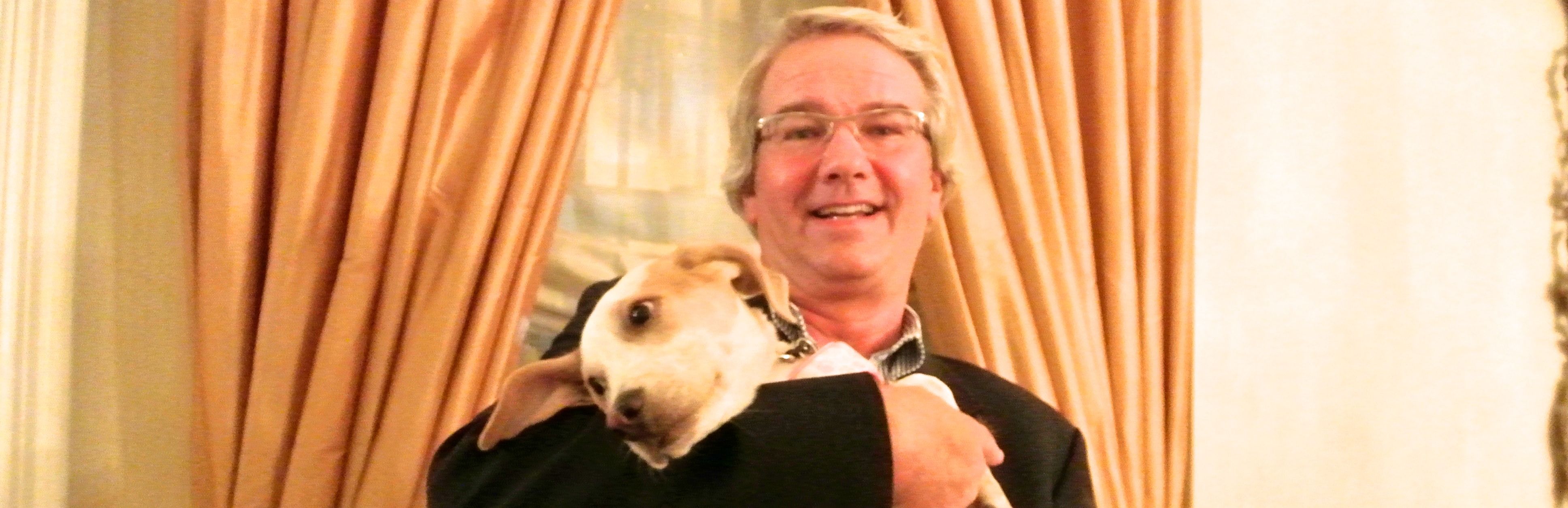 “Yammer’s” World