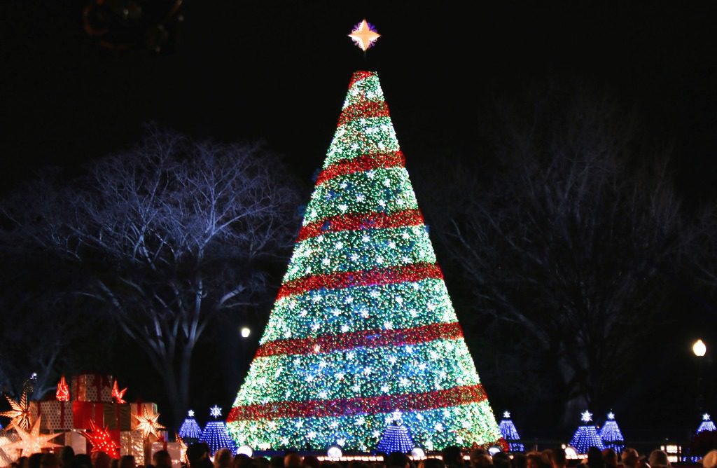 Oh Christmas Tree….. Hollywood On The Potomac