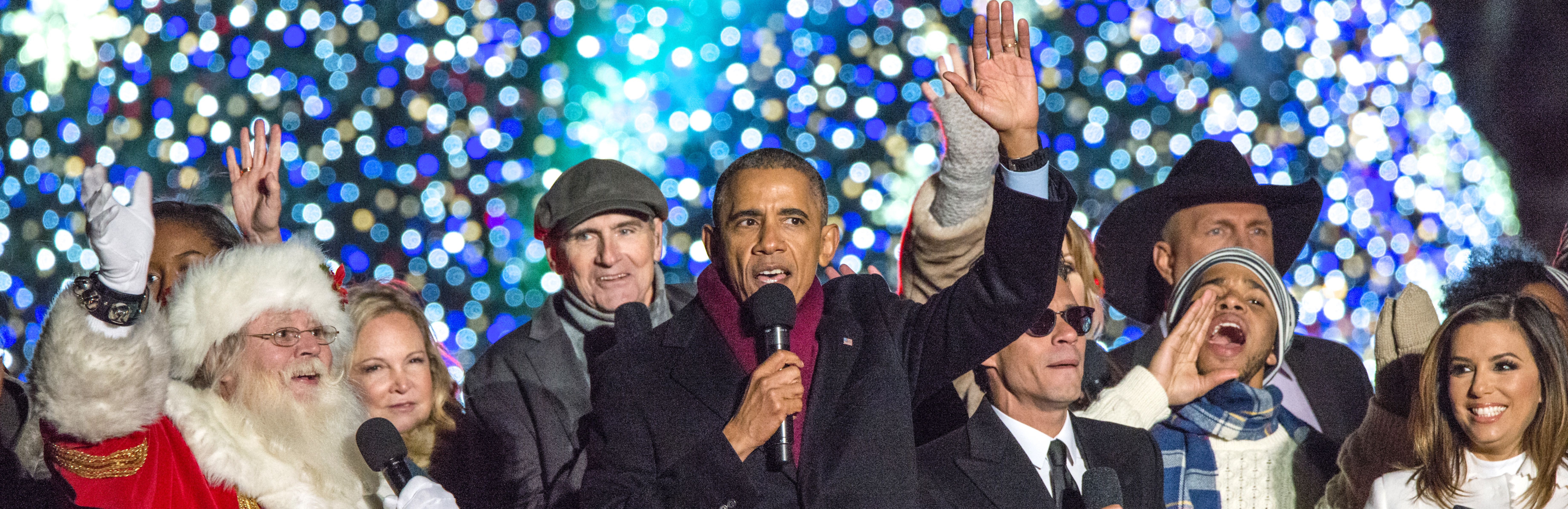 Oh Christmas Tree…..