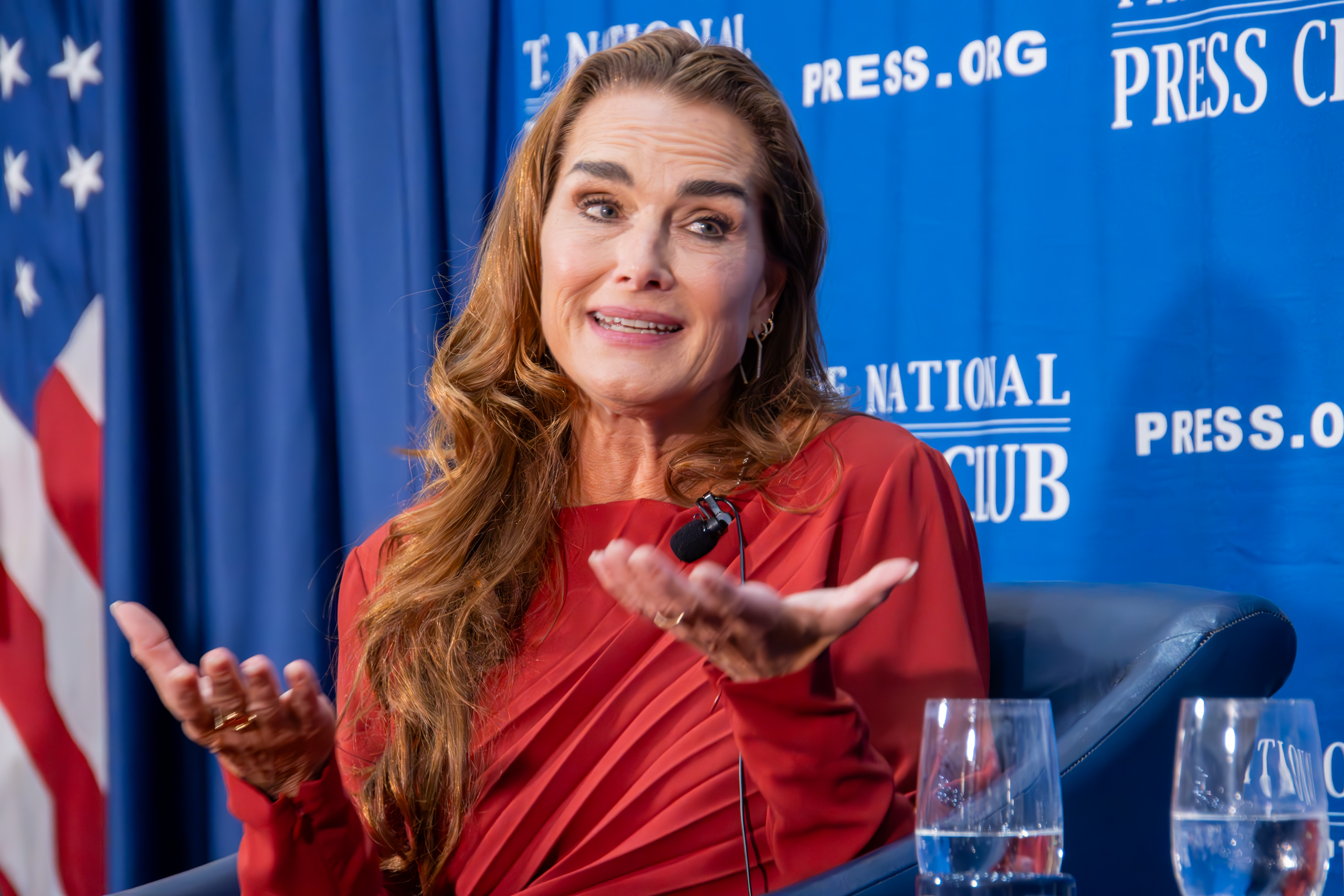 Brooke Shields – Labor activist?